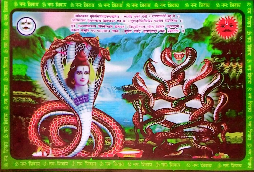 नागपञ्चमीको अवसरमा देशभर नाग पूजा, घरघरमा टाँसिए नागको चित्र