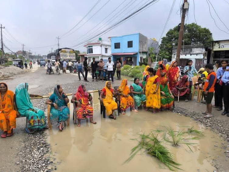 कटहरी गाउँपालिका नजिकैको हुलाकी राजमार्गमा महिलाद्वारा धान रोपाइँ, निर्माण ढिलाइको विरोधमा अनोठो प्रदर्शन