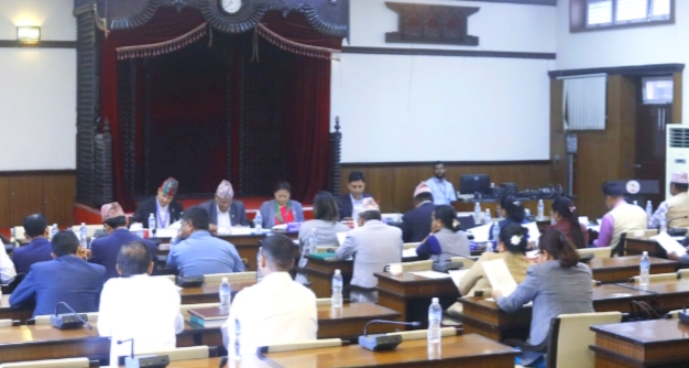 भूमि सम्बन्धी विधेयक समितिबाट पारित, माओवादी र रास्वपा बाहिरिए